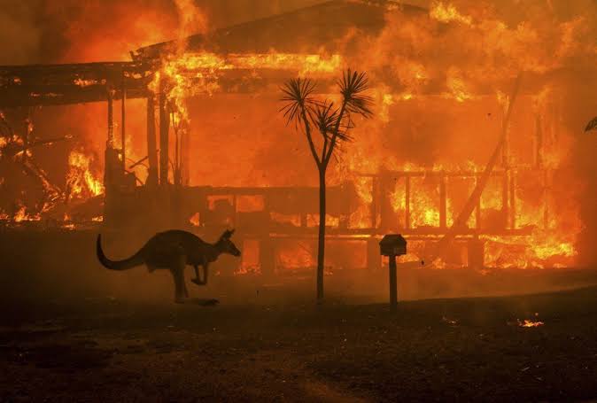 Australia Fires Update – How Can I Help & Donate?